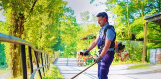 SE REQUIERE JARDINERO PARA TURNO DIURNO (CON O SIN EXPERIENCIA)