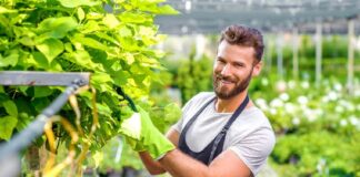 SE SOLICITA JARDINERO PARA MANTENIMIENTO DE MEDIO TIEMPO Y TIEMPO COMPLETO