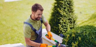 SE REQUIERE JARDINERO PARA MANTENIMIENTO DE ÁREAS VERDES, TIEMPO COMPLETO