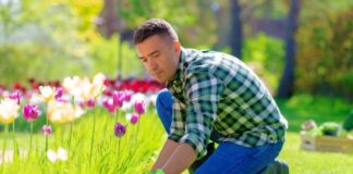 SE REQUIERE PEÓN DE JARDINERÍA 5 DÍAS A LA SEMANA (HOMBRE Y/O MUJER)