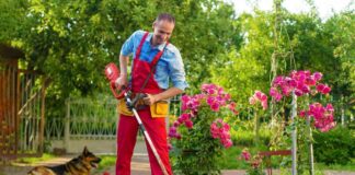 SE SOLICITA JARDINEROS PARA PODAR MALEZAS Y MANTENIMIENTO GENERAL DE ÁREAS VERDES