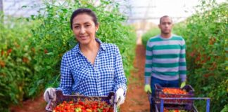 SE SOLICITA PEONES DE CAMPO PARA MANTENIMIENTO DE FINCAS, ENTRE OTRAS LABORES GENERALES