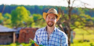 SE SOLICITA TRABAJADOR AGRÍCOLA PARA COSECHA DE VERDURAS, NO SE REQUIERE EXPERIENCIA