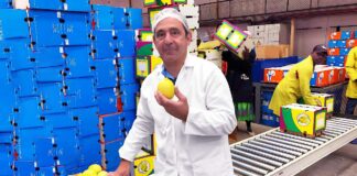 SE SOLICITA PERSONAL DE PRODUCCIÓN PARA ETIQUETADO Y EMPAQUE DE ALIMENTOS