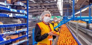 SE REQUIERE AUXILIAR DE PRODUCCIÓN PARA EMPAQUE Y SELLADO DE ALIMENTOS