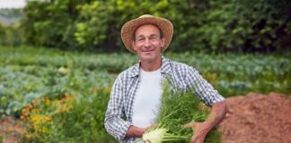 SE SOLICITA TRABAJADORES AGRÍCOLAS PARA RECOLECCIÓN DE PRODUCTOS EN COSECHA DE CEBOLLAS