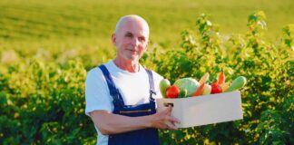 SE REQUIERE TRABAJADOR AGRÍCOLA PARA CONTROL DE PRODUCTOS EN COSECHA DE VERDURAS (CON O SIN EXPERIENCIA)