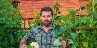 SE SOLICITA TRABAJADOR AGRÍCOLA PARA COSECHA DE FRUTAS Y VERDURAS, NO SE REQUIERE EXPERIENCIA