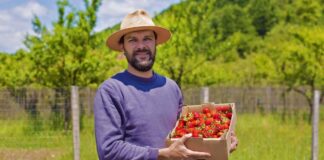 SE REQUIERE TRABAJADOR AGRÍCOLA PARA COSECHA DE FRESAS Y ARÁNDANOS