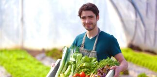 SE REQUIERE TRABAJADOR AGRÍCOLA PARA CLASIFICACIÓN DE VERDURAS EN COSECHA, NO SE REQUIERE EXPERIENCIA