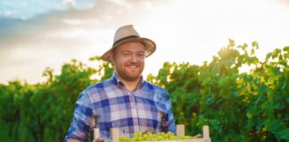 SE SOLICITA PEÓN AGRÍCOLA PARA RECOLECCIÓN DE PRODUCTOS EN COSECHA (DÍAS SUELTOS)
