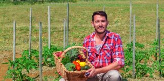 SE REQUIERE TRABAJADOR DE CAMPO PARA COSECHA DE APIO Y BRÓCOLI (MÍNIMA EXPERIENCIA)