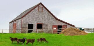 SE REQUIERE TRABAJADOR DE GRANJA PARA MANTENIMIENTO DE INSTALACIONES (MÍNIMA EXPERIENCIA)