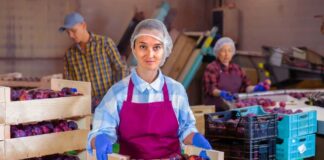 SE SOLICITA ALISTADOR PARA ENVASADO Y CLASIFICACIÓN DE PRODUCTOS, JORNADA ROTATIVA