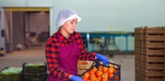 SE SOLICITA AUXILIAR DE BODEGA PARA CLASIFICACIÓN DE MERCADERÍA, MEDIO TIEMPO