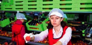 SE SOLICITA EMPACADOR PARA CONTROL DE CALIDAD Y ETQUETADO DE PRODUCTOS, TIEMPO COMPLETO
