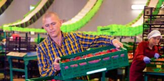 SE SOLICITA EMPACADOR PARA ENVASADO DE FRUTAS Y VERDURAS