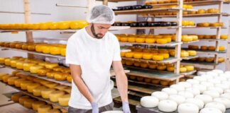 SE SOLICITA EMPACADOR DE QUESOS PARA CONTROL DE CALIDAD DE PRODUCTOS (HOMBRE Y/O MUJER)