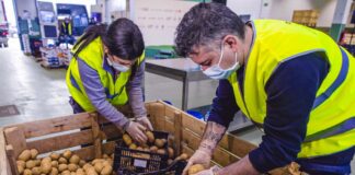 SE SOLICITA EMPACADOR PARA CONTROL DE CALIDAD DE PAPAS CON O SIN EXPERIENCIA
