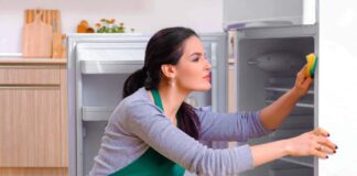 SE REQUIERE EMPLEADA DEL HOGAR PARA LABORES DE LIMPIEZA DOS HORAS A LA SEMANA