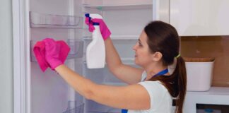 SE SOLICITA EMPLEADA DOMÉSTICA PARA ASEO GENERAL DE HOGAR UNA VEZ POR SEMANA