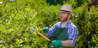 SE REQUIERE JARDINERO PARA MANTENIMIENTO DE ZONAS VERDES, MEDIO TIEMPO