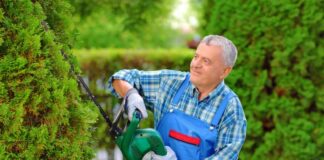 SE SOLICITA AUXILIAR DE JARDINERÍA PARA MANTENIMIENTO DE ZONAS VERDES