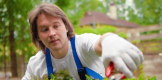 SE SOLICITA JARDINERO PARA RIEGO Y MANTENIMIENTO DE ÁREAS VERDES, NO SE REQUIERE EXPERIENCIA