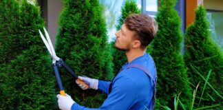 SE SOLICITA JARDINERO PARA MANTENIMIENTO DE ÁREAS VERDES EN JORNADA DE MEDIO TIEMPO