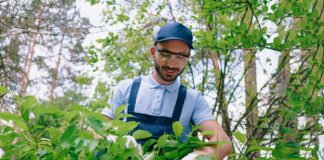 SE REQUIERE JARDINERO PARA MANTENIMIENTO DE ÁREAS VERDES, MEDIO TIEMPO Y TIEMPO COMPLETO