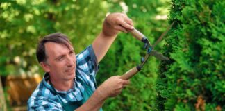 SE REQUIERE JARDINERO PARA PODADO Y RIEGO DE ÁREAS VERDES (MEDIO TIEMPO)