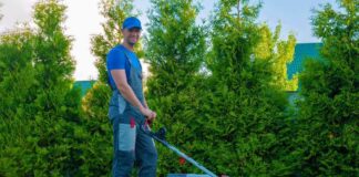SE REQUIERE JARDINERO PARA MANTENIMIENTO DE DIVERSAS ÁREAS (CON O SIN EXPERIENCIA)