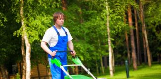 SE SOLICITA JARDINERO PARA MANTENIMIENTO DE ÁREAS VERDES (CON O SIN EXPERIENCIA)
