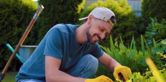 SE SOLICITA JARDINERO CON O SIN EXPERIENCIA PARA MANTENIMIENTO DE TERRENOS