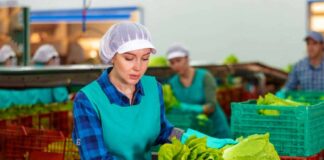SE SOLICITA PEÓN DE ALMACÉN PARA CARGA Y DESCARGA DE MERCADERÍA, NO SE REQUIERE EXPERIENCIA