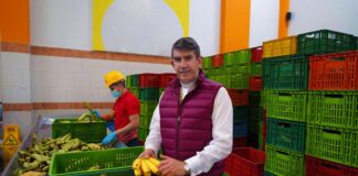 SE SOLICITA PERSONAL DE ALMACÉN PARA ORDEN Y CLASIFICACIÓN DE ALIMENTOS, NO SE REQUIERE EXPERIENCIA