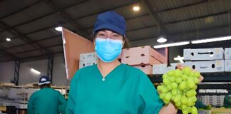 SE SOLICITA PEÓN/A DE BODEGA PARA CONTROL DE CALIDAD DE UVAS, NO SE REQUIERE EXPERIENCIA