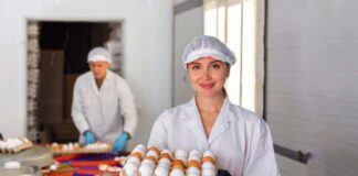 SE SOLICITA OPERARIO DE EMPAQUE DE HUEVOS (HOMBRE Y/O MUJER)