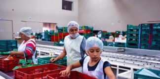 SE SOLICITA OPERARIO/A DE PRODUCCIÓN PARA ENVASADO DE ALIMENTOS, TURNOS ROTATIVOS