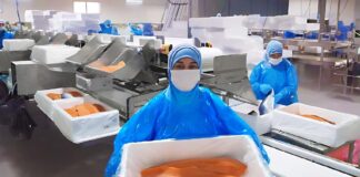 SE SOLICITA PERSONAL DE PRODUCCIÓN PARA CONTROL DE CALIDAD DE PESCADO
