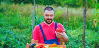 SE SOLICITA TRABAJADOR AGRÍCOLA CON MÍNIMA EXPERIENCIA PARA COSECHA DE PIMIENTOS