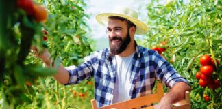 SE REQUIERE TRABAJADOR AGRÍCOLA PARA RECOLECCIÓN DE PRODUCTOS (CON O SIN EXPERIENCIA)