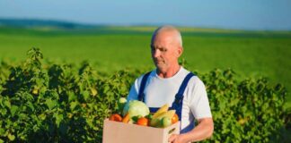 SE REQUIERE TRABAJADOR AGRÍCOLA CON MÍNIMA EXPERIENCIA PARA COSECHA DE PRODUCTOS