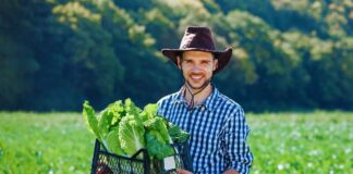 SE SOLICITA PEONES AGRÍCOLAS PARA COSECHA DE PRODUCTOS EN FINCA (HOMBRES Y/O MUJERES)