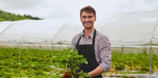 SE SOLICITA PEONES AGRÍCOLAS PARA COSECHA DE COLIFLOR, NO SE REQUIERE EXPERIENCIA