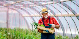SE SOLICITA PEÓN/A AGRÍCOLA PARA RECOLECCIÓN Y ALMACENAMIENTO DE PRODUCTOS