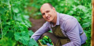 SE SOLICITA PEÓN AGRÍCOLA PARA RECOLECCIÓN DE PRODUCTOS EN COSECHA, NO SE REQUIERE EXPERIENCIA