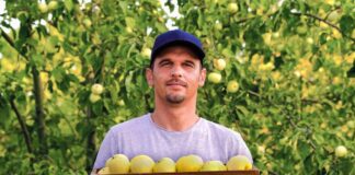 SE SOLICITA TRABAJADOR AGRÍCOLA PARA COLOCACIÓN DE SEMILLAS Y RECOLECCIÓN DE FRUTAS EN COSECHA, NO SE REQUIERE EXPERIENCIA