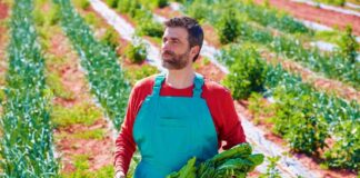 SE SOLICITA TRABAJADOR AGRÍCOLA PARA COSECHA DE VEGETALES (CON O SIN EXPERIENCIA)
