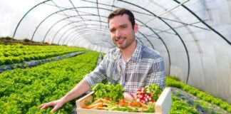SE SOLICITA TRABAJADOR AGRÍCOLA PARA CONTROL DE CALIDAD EN COSECHA DE VERDURAS, NO SE REQUIERE EXPERIENCIA